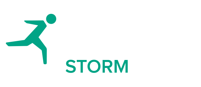 Storm Reply Logo